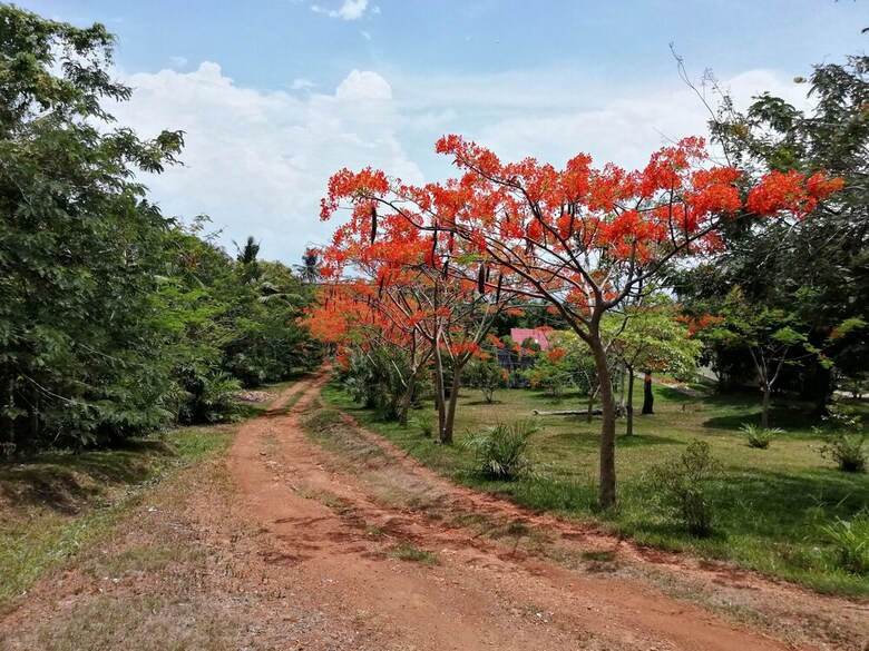 Hotel Q Bungalows