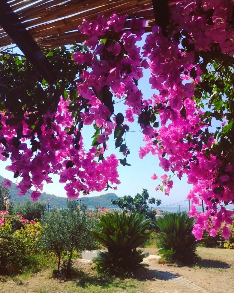 Hotel Bahar Bahce Datca