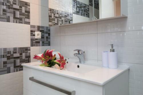 Apartments Branka