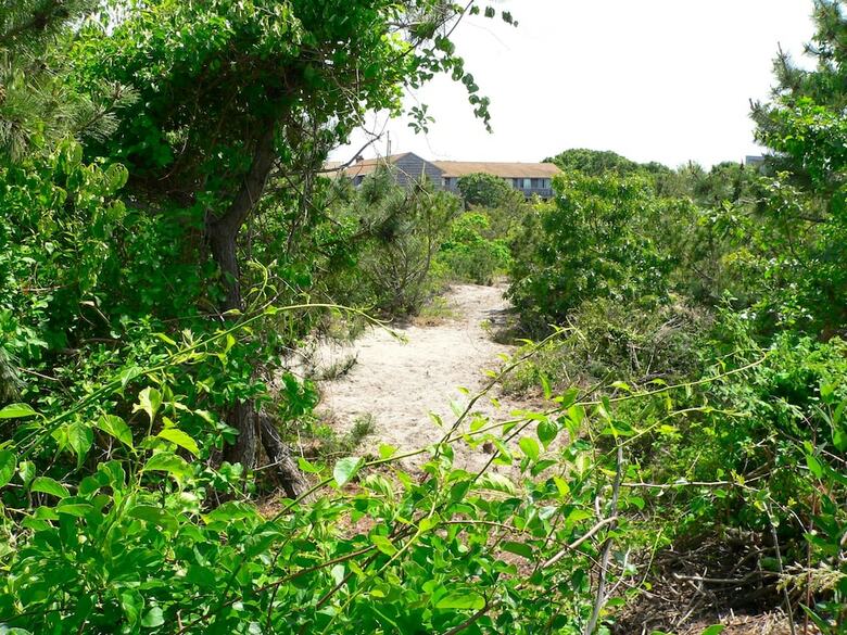 Hotel Culloden House