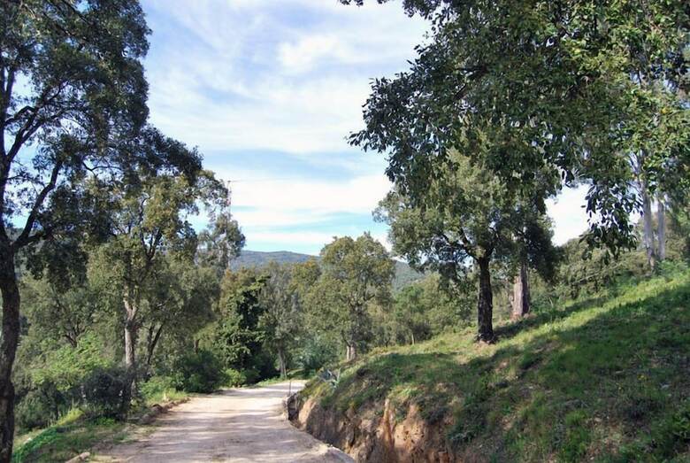 Bed & Breakfast Villa Nais