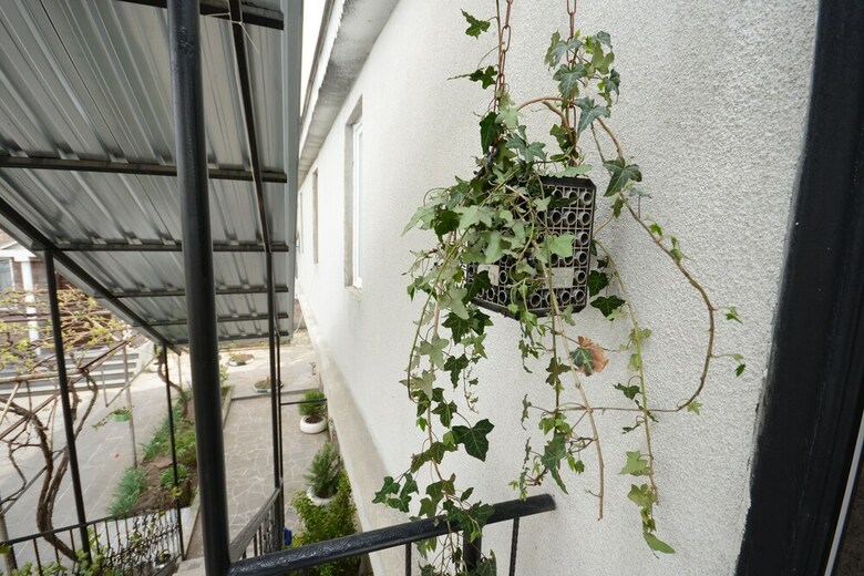 Hotel Olimpo Guest House