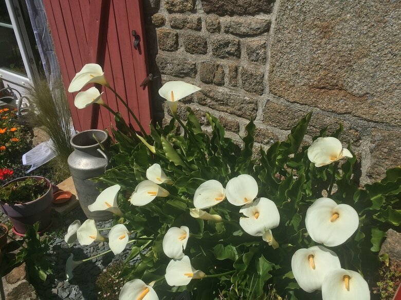 Bed & Breakfast L'angeviniere, Maison D'hotes