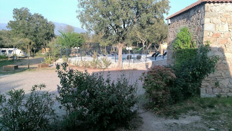 E Canicce