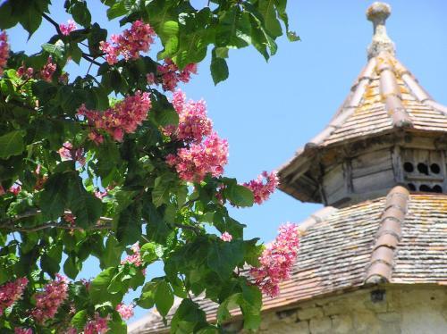 Hostal Domaine De L'isle Basse