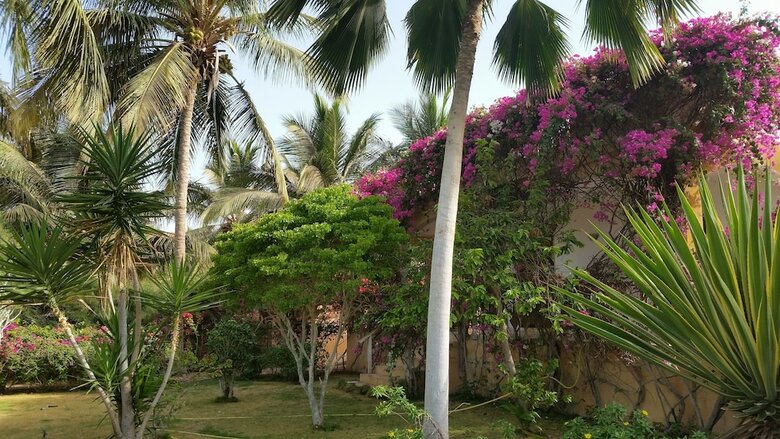 Apartamentos La Bougain Villa