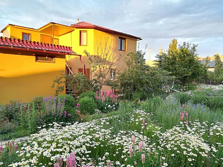 Hotel Memo's Boutique Guesthouse