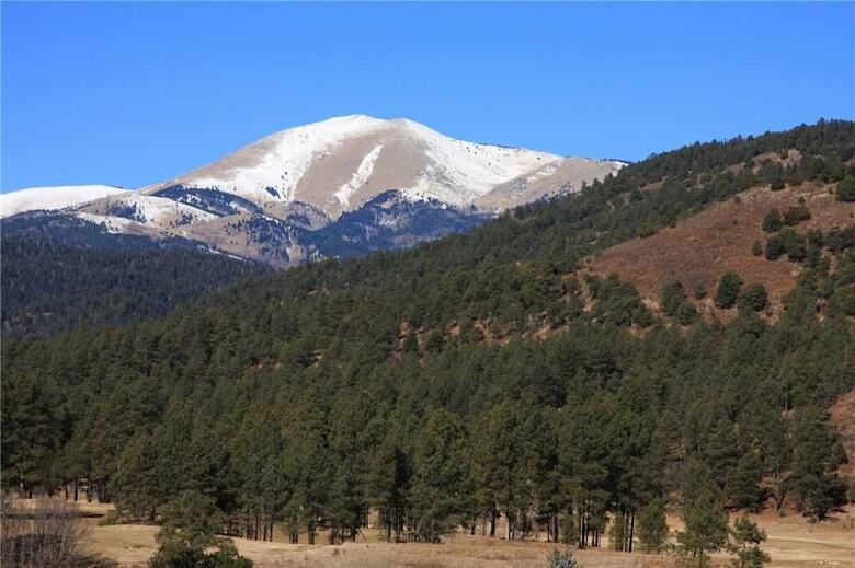 Elk Mountain House - Four Bedroom Cabin