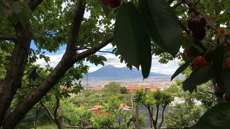 Bed & Breakfast Evergreen Corbara