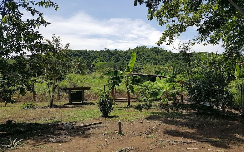 Cabana El Gecko