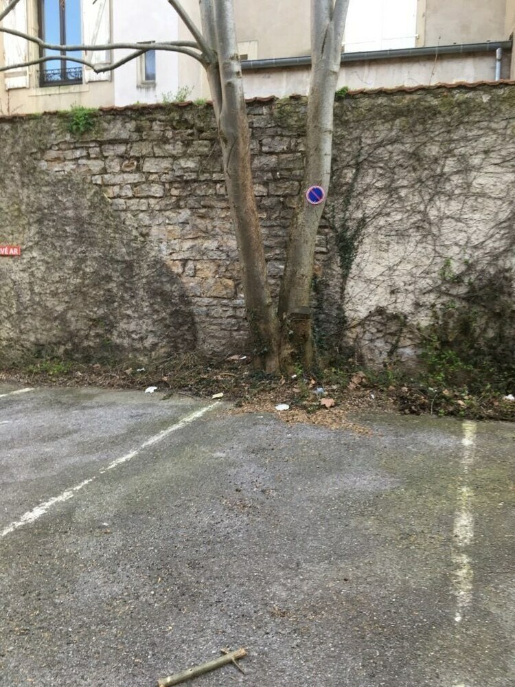 Apartamento La Pepiniere Victoria