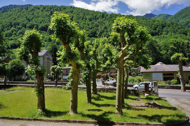 Apartamento Studio 2-4 Pers N6 Grand Hotel Aulus