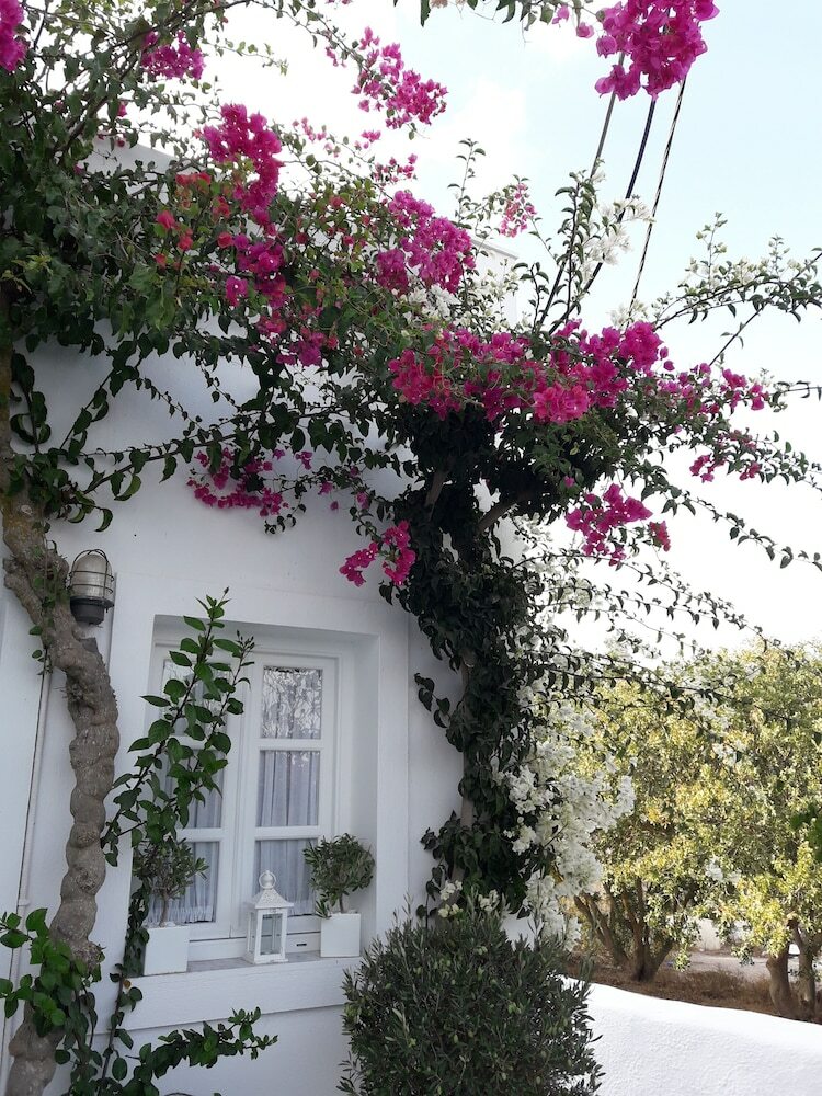 Hotel Casa Bianca