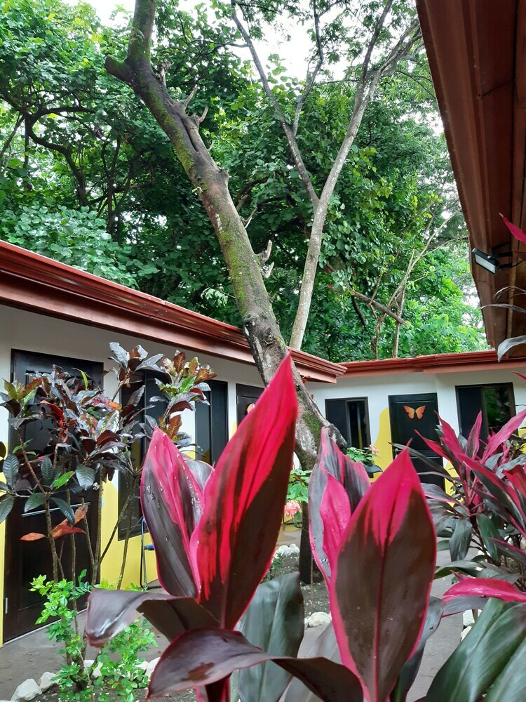 Posada Salt Life Family Lodge
