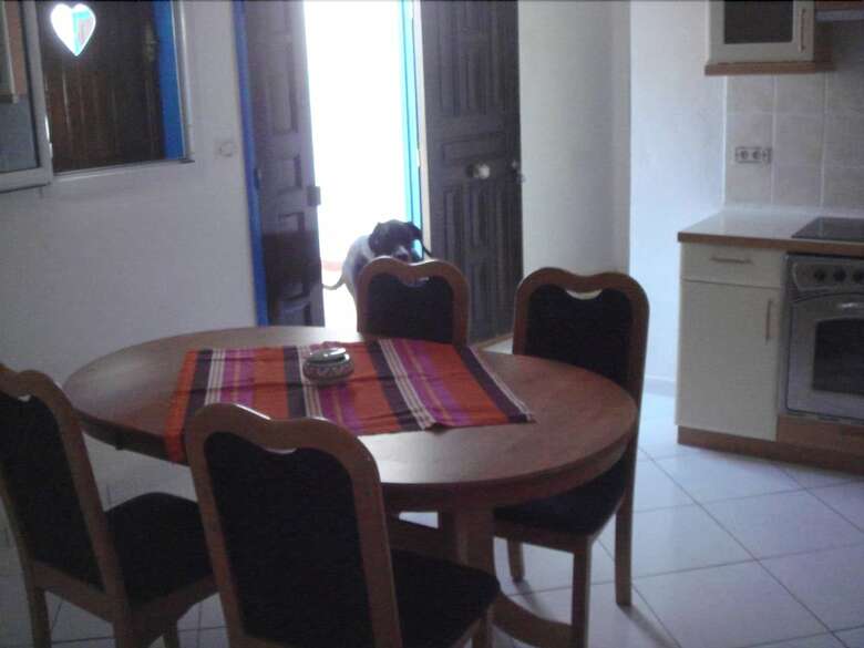 Apartamentos R�sidence Jlidi