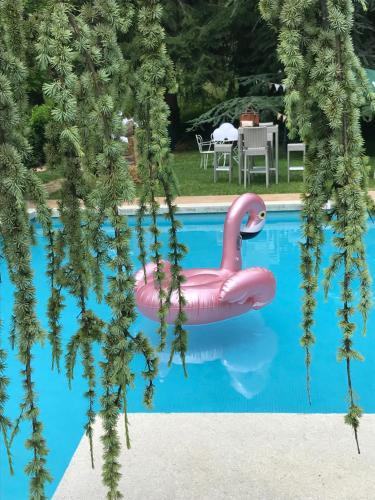 Hotel H�tel Les Rochers