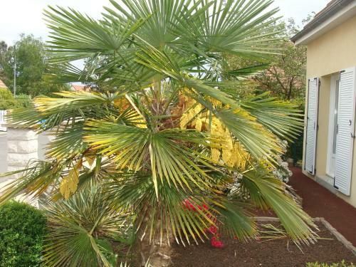 Bed & Breakfast Chambres D'h�tes S�bastien