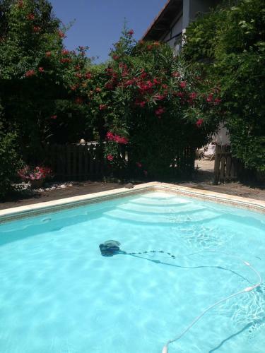 Bed & Breakfast Chambres D'h�tes La Toast Vin