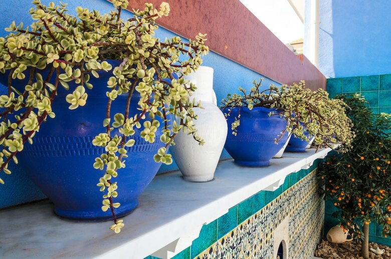 Posada Mediterranean Charm