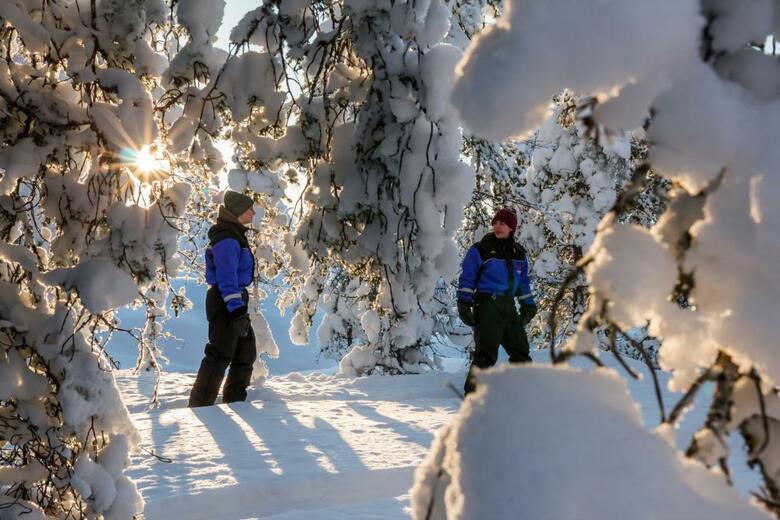 Ounasvaara Lakituvat Chalets