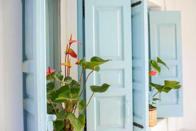 Apartamentos Harmonia House