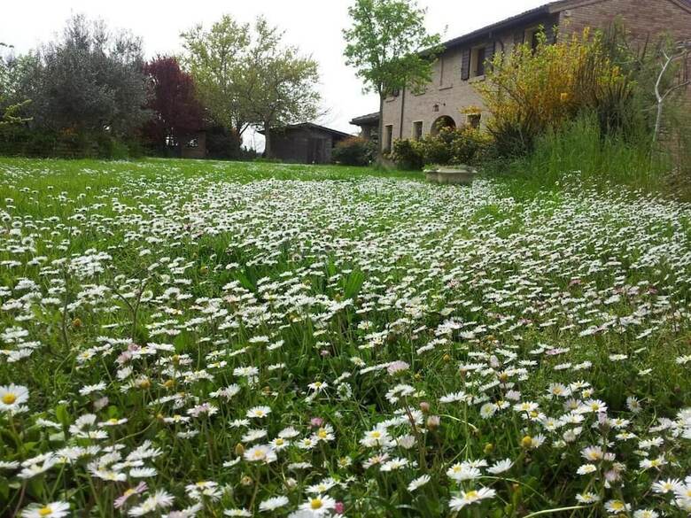 Tramontodivino B&B