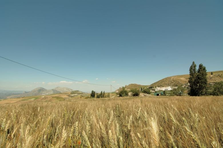 Agroturismo Casa Los Olivos