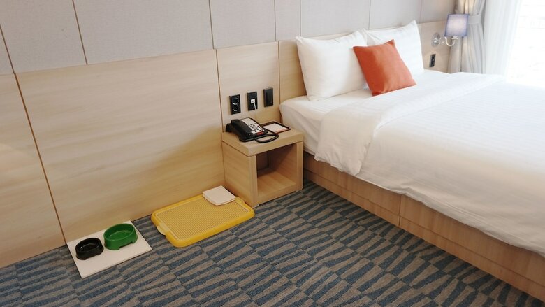 Hotel Artstay Seogwipo Harbor