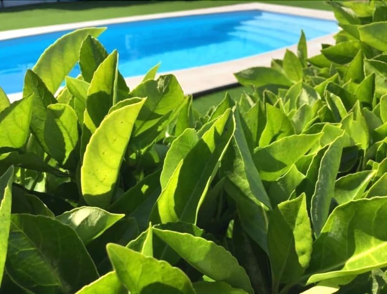 Hotel Cortijo Cal Rajoler