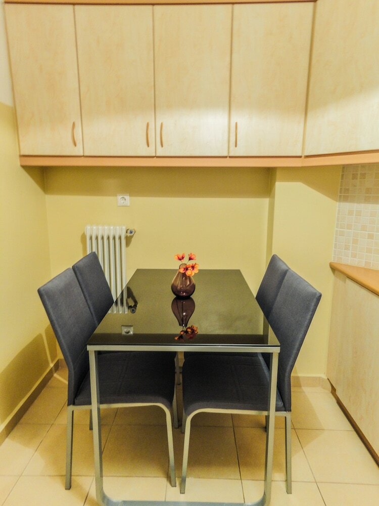 Grateful Apartment Near Syntagma Square