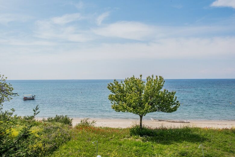 #halu! Modern & Cozy Seafront Villa