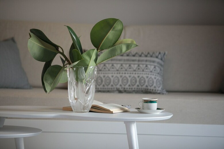 Apartamentos Erato Inn