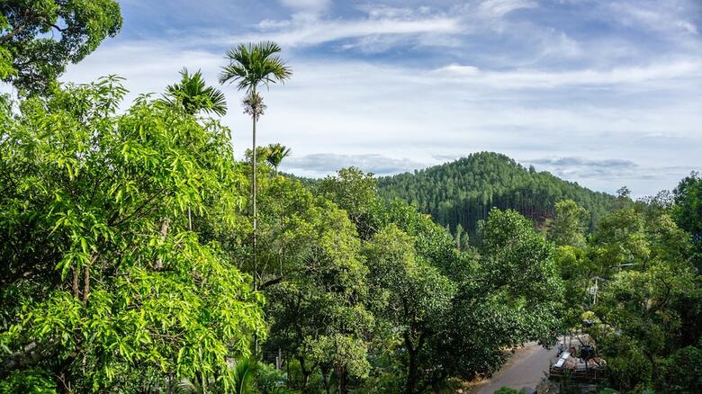 Hotel Samadhi Nature Resort Ella