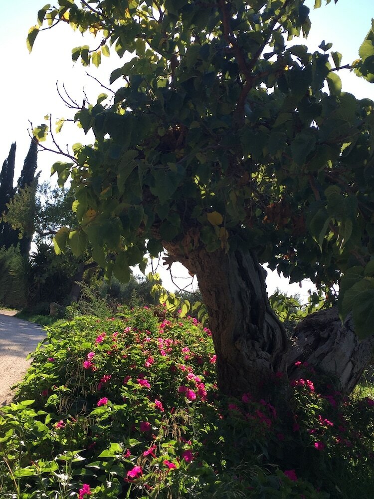 Apartamento La Fattoria