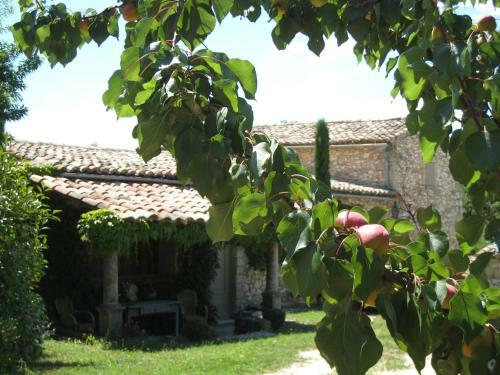 Bed & Breakfast Mas Du Moutet