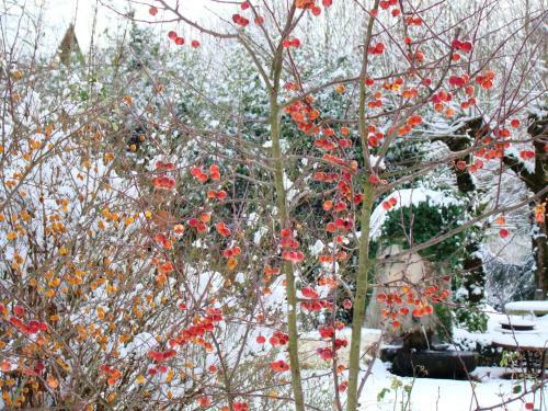 Bed & Breakfast Ch�teau De La Chabroulie