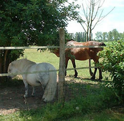 Bed & Breakfast Ferme Les Rousseaux