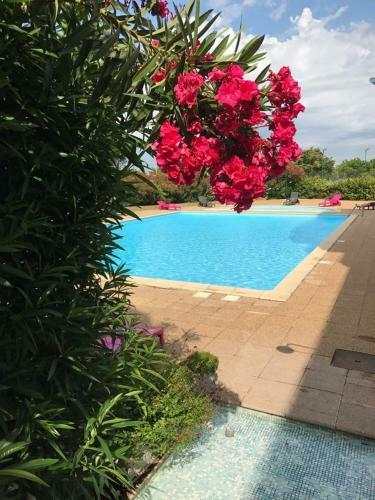 Hotel H�tel Residence Les Aiguades