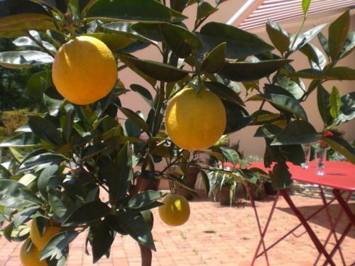 Bed & Breakfast Chambres D'h�tes Coteaux Sud