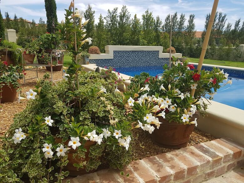 Hotel Sandmartins