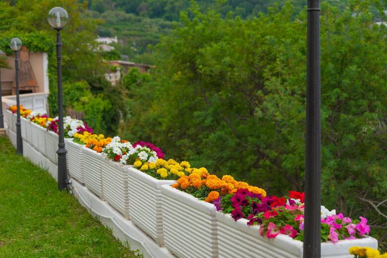 Bed & Breakfast Villa Antonietta