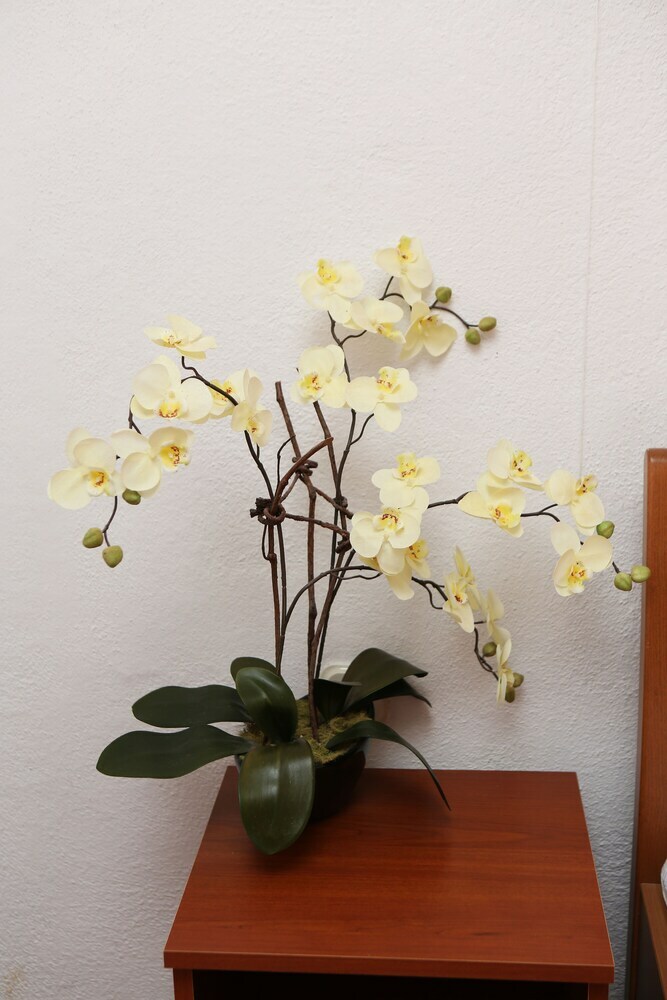 Apartamentos Vila Vida Orebic