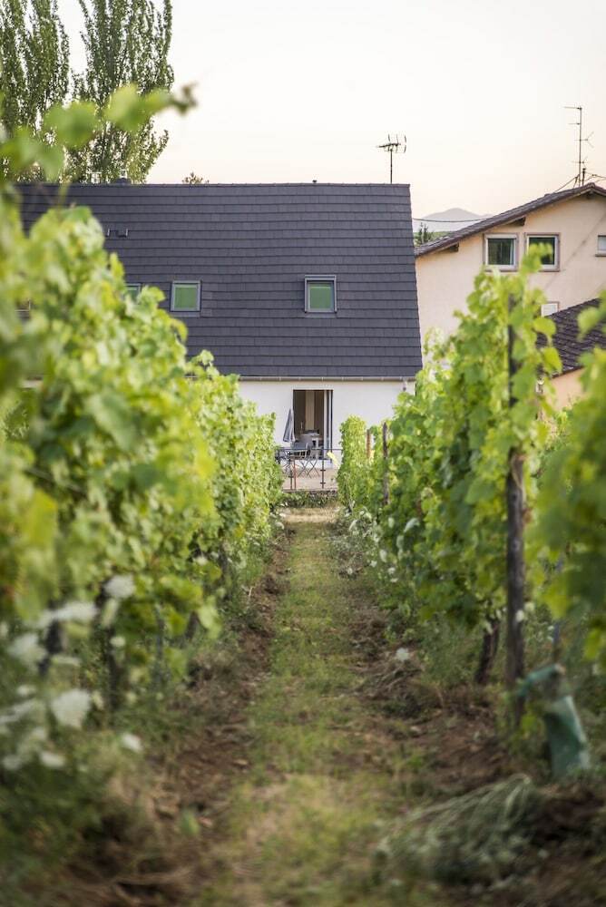 Apartamento Aux Pieds Des Vignes - Studio - 4 Pers