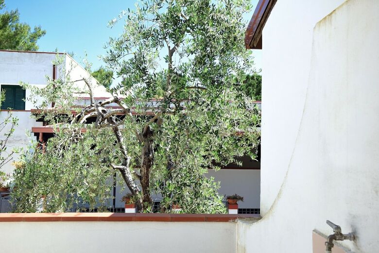 Apartamento Peschici Mare
