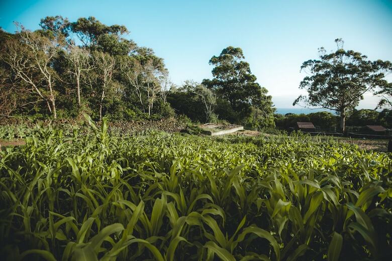 Agroturismo Make It Happen Farm