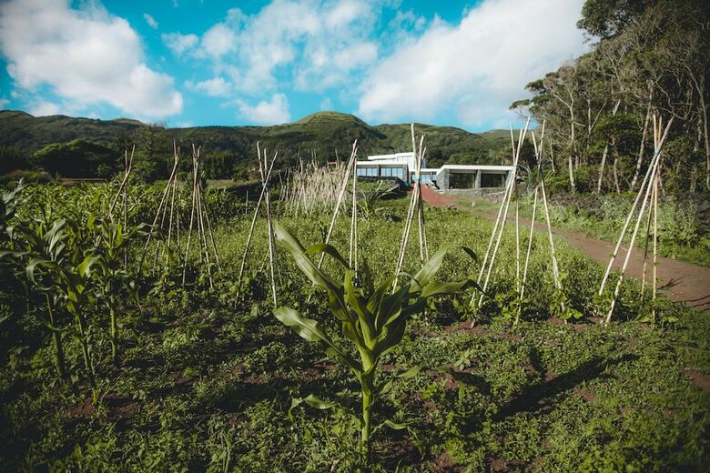 Agroturismo Make It Happen Farm