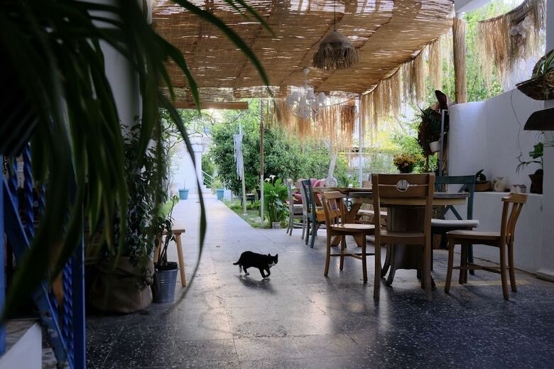 Hotel L'onda Oda Bodrum