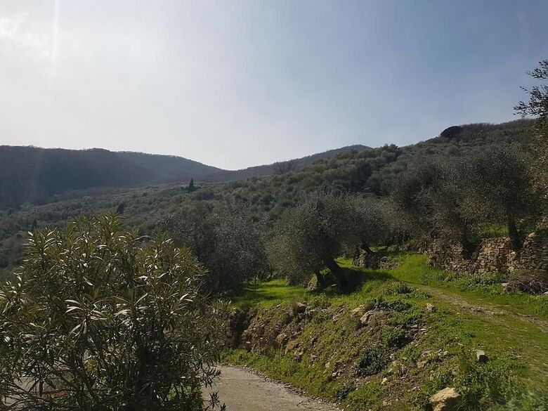 Agroturismo Immerso Nel Verde