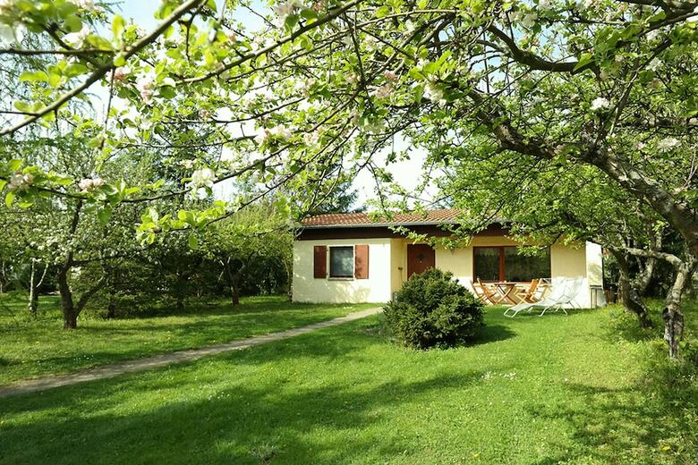 Apartamentos Harzer Feriengarten - Ferienhauspark