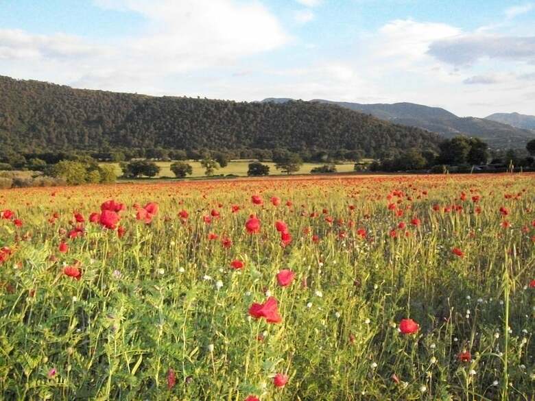Agroturismo Agriturismo Il Casalino
